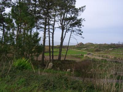 SINGLE BEACH HOUSE WITH LAND For sale in RIVEIRA, LA CORUÑA, Spain